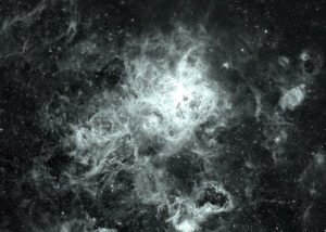 Monochrome image of Tarantula Nebula (NGC 2070), the most active starburst region in the local universe; only about 2 million years old. Collections: LMC