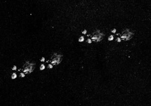 NGC 6334, the Cat's Paw Nebula, located 5,500 light-years distant is a massive star-forming region. This monochrome composite isolates four stark, white emission features against a void. The high-contrast framing mimics a feline track, transforming a cosmic nursery into a minimalist, graphic imprint walking across the deep black background.