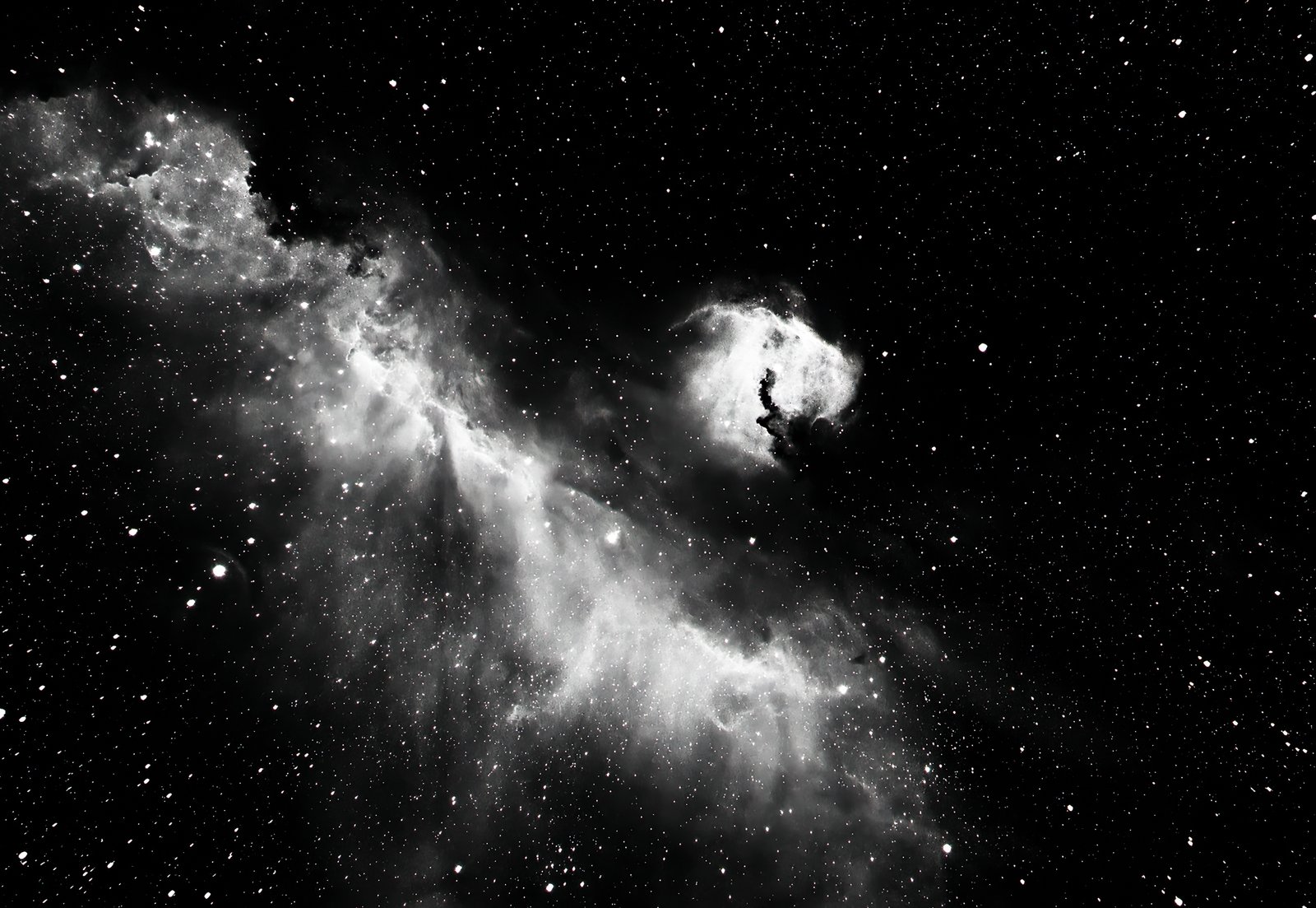 A matter of cosmic perspective. While the expansive Seagull Nebula (IC 2177) is named for its grand 100-light-year wingspan, a closer framing of its bright, compact head (NGC 2327 / Sh2-292) reveals a striking alternative shape—resembling the noble profile of a hound dog. Sculpted by radiation from the massive star HD 53367, the dust lanes form an eye and snout pointing directly through the interstellar medium.