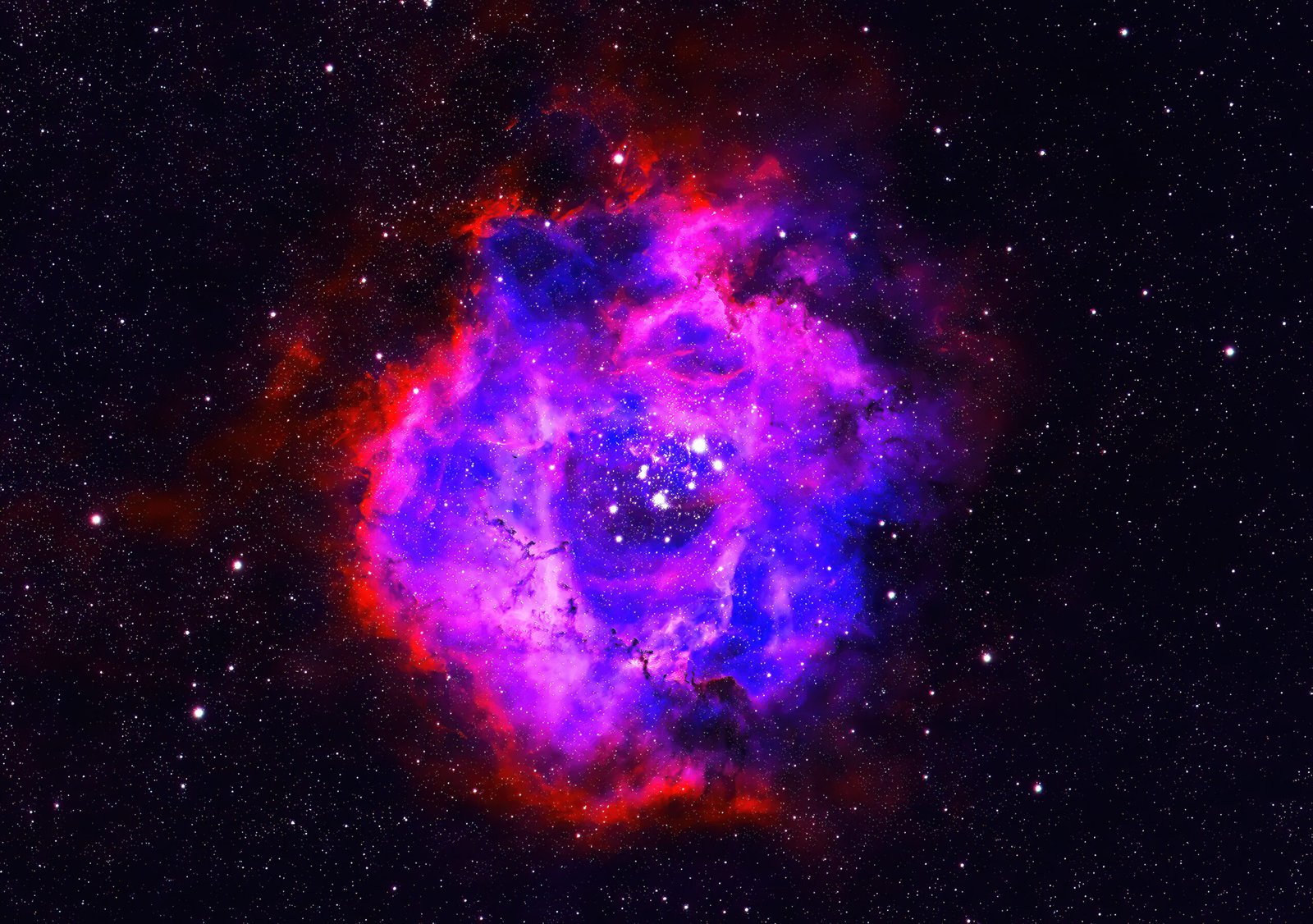 The Rosette Nebula: NGC 2237 is a huge star-forming region spanning 100 lightyears across and located 5,000 lightyears away. At the centre of the nebula is NGC 2244, a group of stars that form a gravitationally bound open star cluster thought to be about 4 million years old. These stars emit streams of charged particles known as stellar winds, carving out the gas and dust at the nebula's centre and giving it the Rosette nickname.