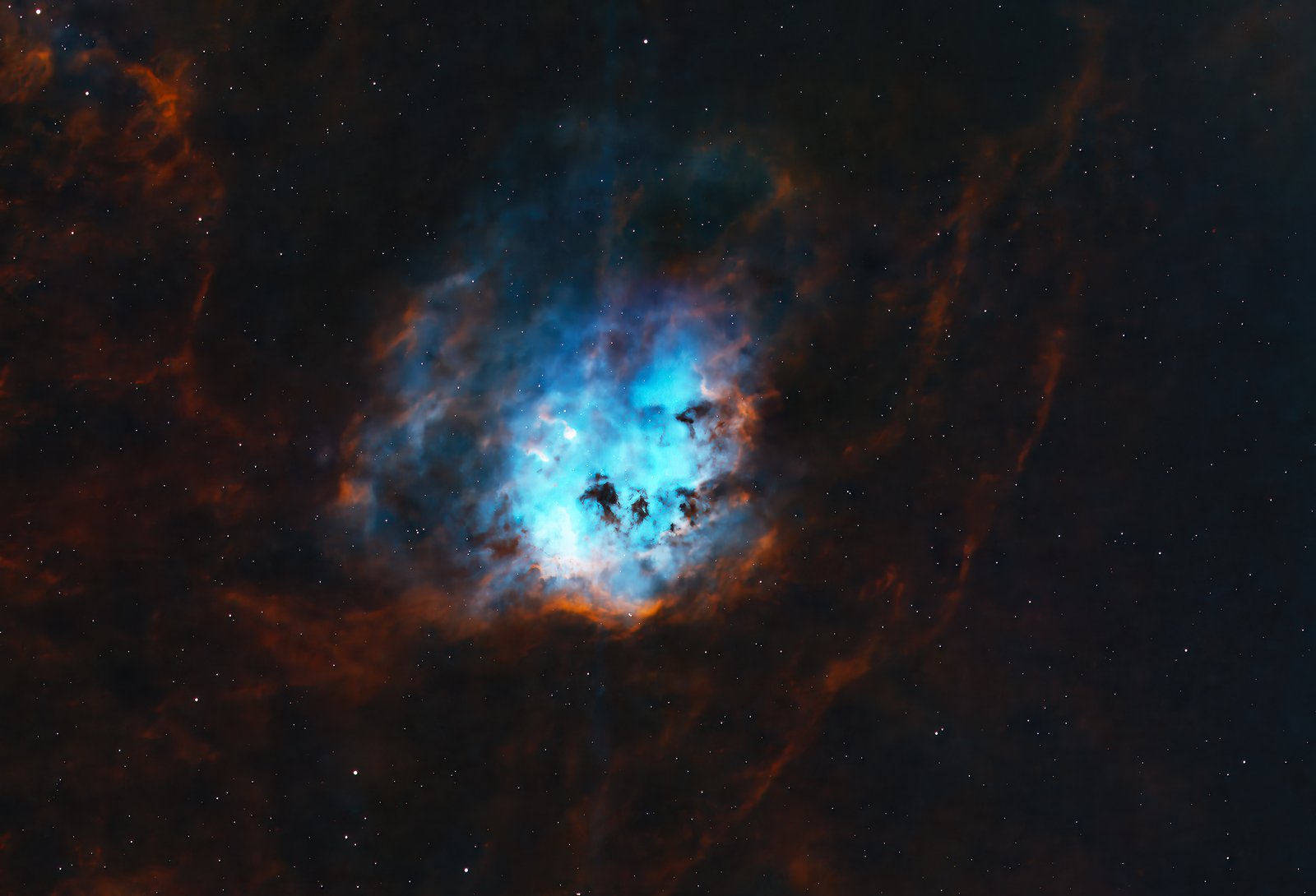 While known as the Tadpole Nebula (IC 410) due to the swimming streamers near its core, a wider compositional perspective reveals the unmistakable silhouette of a wide-eyed 'Cosmic Puppy' peering into the void. Located 12,000 light-years distant, these dense pockets of resilient gas and dust are constantly shaped and sculpted by the intense stellar winds of the open cluster NGC 1893.