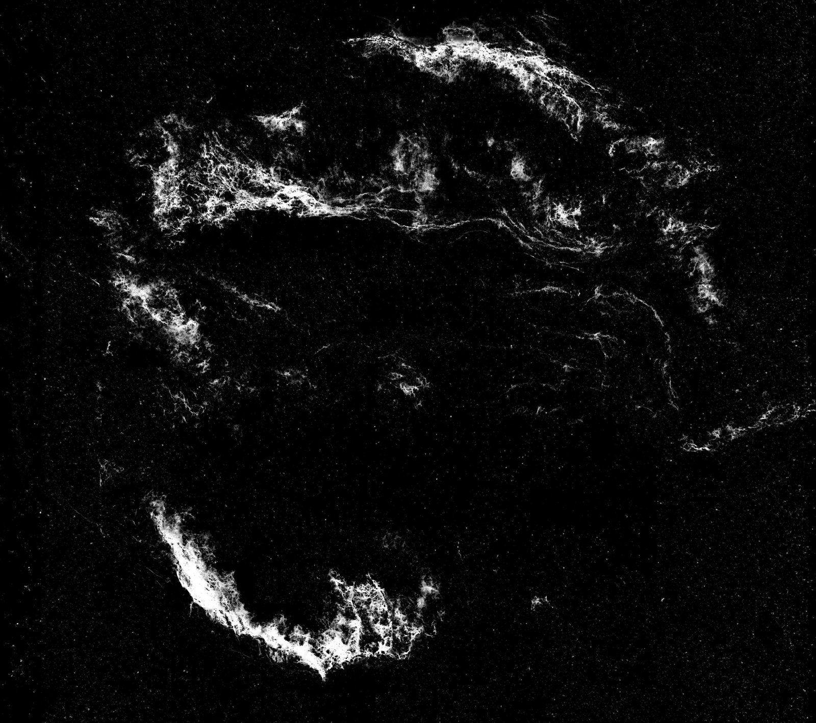 The Veil Nebula (NGC 6960 / NGC 6992), The Unravelling Tapestry: Preserving the fine, hair-like textures of the shockwaves, the Nebula looks remarkably fluid, showcasing the cosmic loom of Penelope as a sharp, meticulously woven net of light defying the darkness of the surrounding vacuum, illustrating Homer's Odyssey.